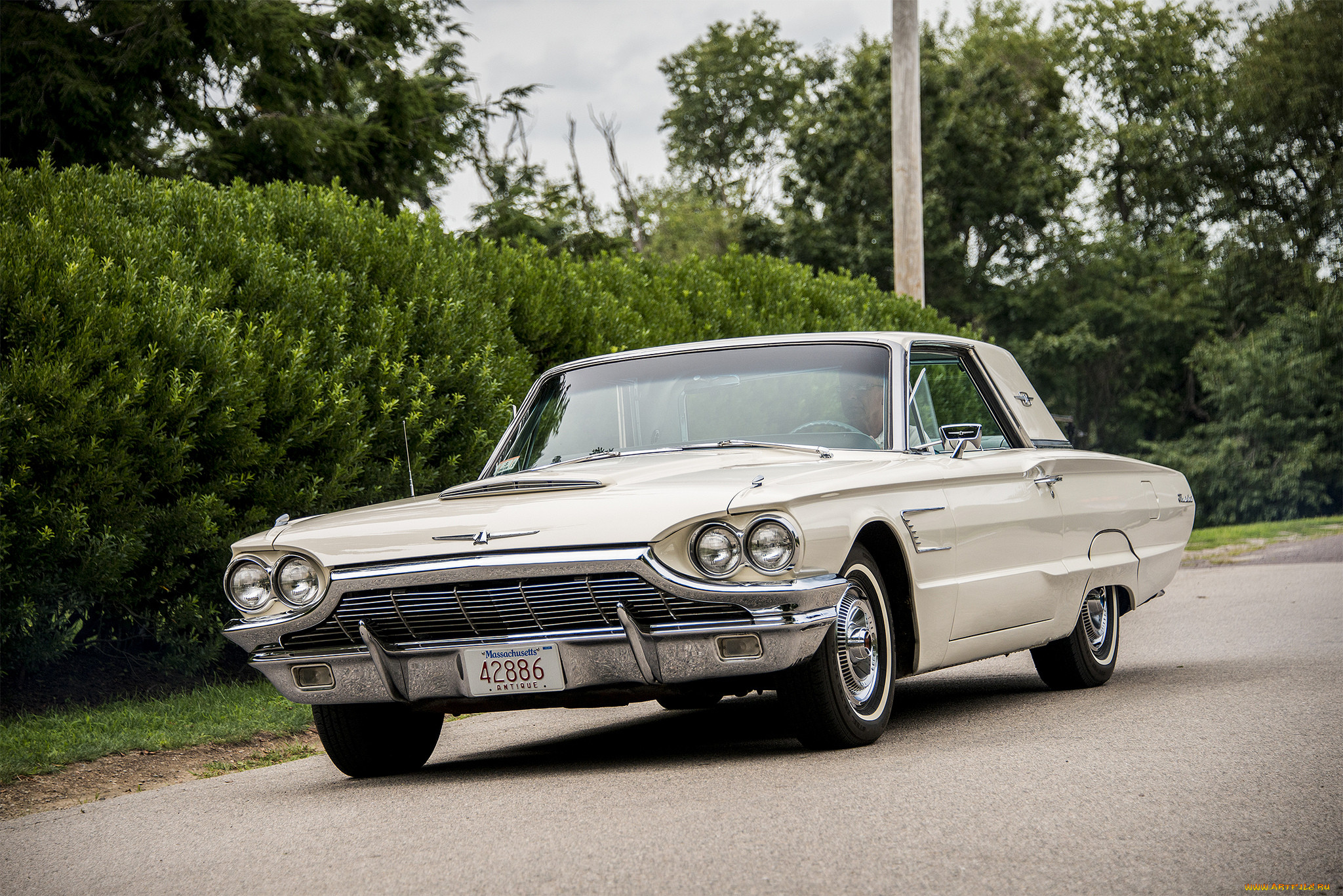 ford thunderbird, , ford, , , 